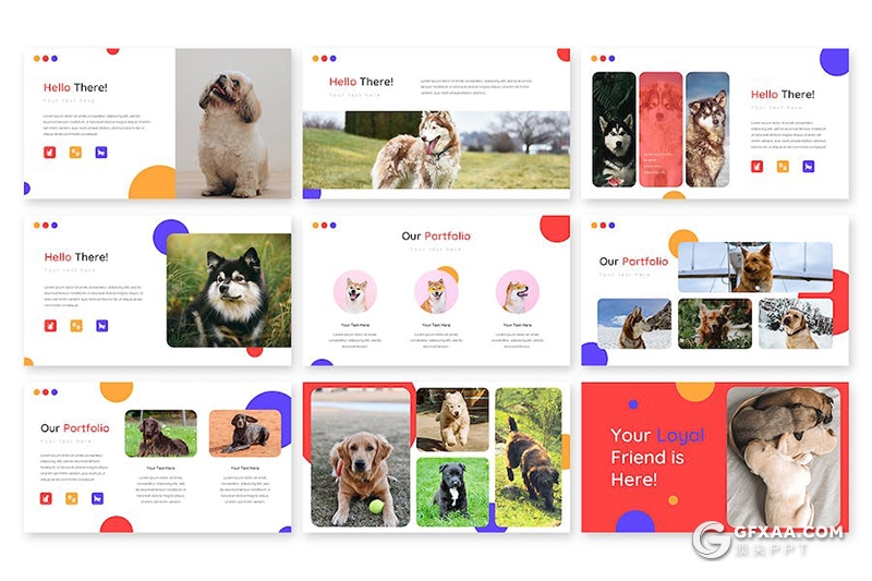 30页宠物行业市场调研分析宠物展示国外PPT模板 - 顶尖PPT