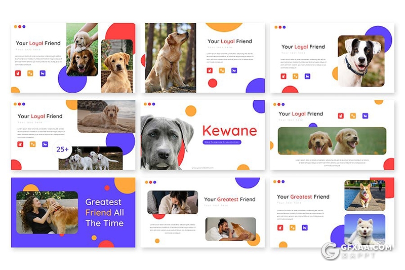 30页宠物行业市场调研分析宠物展示国外PPT模板 - 顶尖PPT