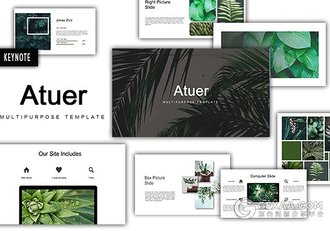 67页摄影植物花卉展示介绍keynote模板 - 顶尖PPT