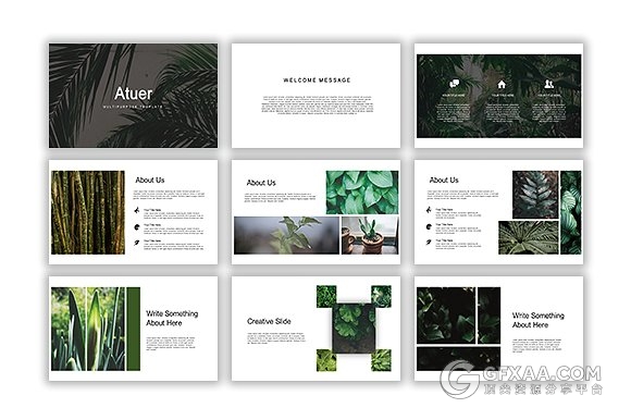 67页摄影植物花卉展示介绍keynote模板 - 顶尖PPT