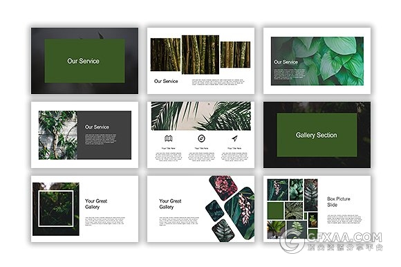 67页摄影植物花卉展示介绍keynote模板 - 顶尖PPT