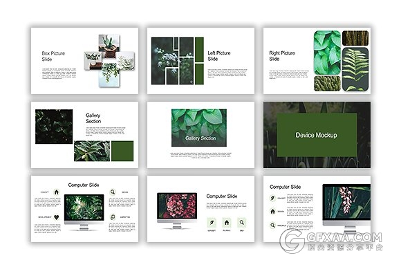 67页摄影植物花卉展示介绍keynote模板 - 顶尖PPT