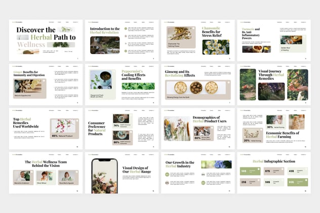 中草药健康养生保健PPT模板 - 顶尖PPT