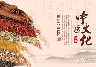 中国风中医文化PPT模板 - 顶尖PPT