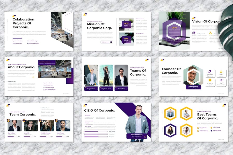 企业商业计划书项目提案PPT模板 - 顶尖PPT