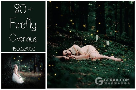 99张高清星光萤火虫图片素材 - 顶尖PPT