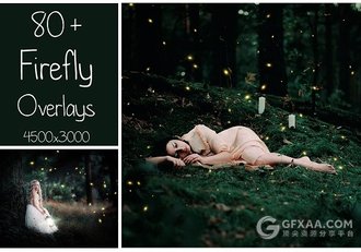 99张高清星光萤火虫图片素材 - 顶尖PPT