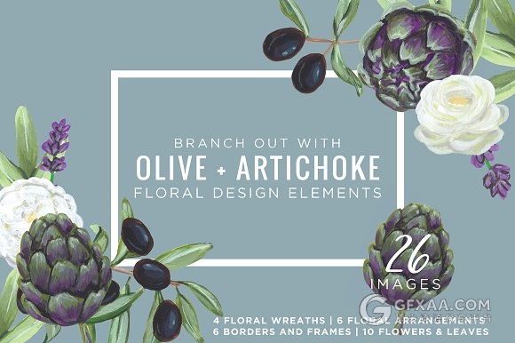 手绘洋蓟和橄榄花PNG图片 - 顶尖PPT