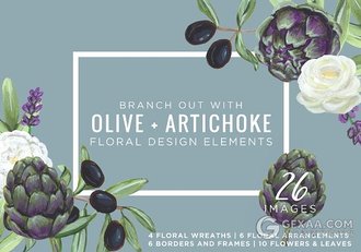 手绘洋蓟和橄榄花PNG图片 - 顶尖PPT