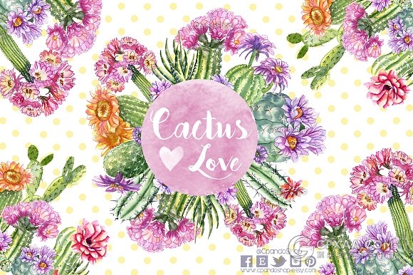 25张仙人掌花朵水彩PNG图片素材 - 顶尖PPT