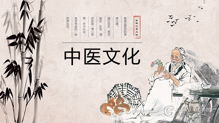 中国风传统中医文化PPT模板 - 顶尖PPT
