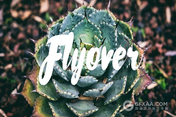 103页极简风格文艺摄影图片展示PPT模板 - 顶尖PPT