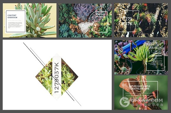 103页极简风格文艺摄影图片展示PPT模板 - 顶尖PPT