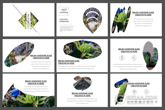 103页极简风格文艺摄影图片展示PPT模板 - 顶尖PPT