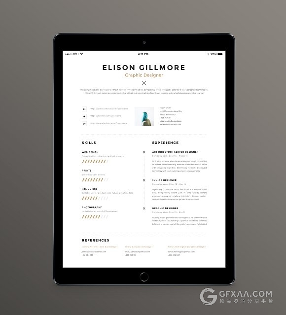 个人简历工作历程介绍word,pdf多种格式模板 - 顶尖PPT