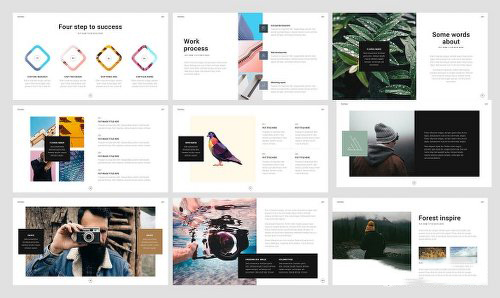 70多页简约风格摄影图片展示PPT模板 - 顶尖PPT