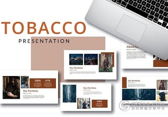 41页棕色企业介绍多用途PPT模板 - 顶尖PPT