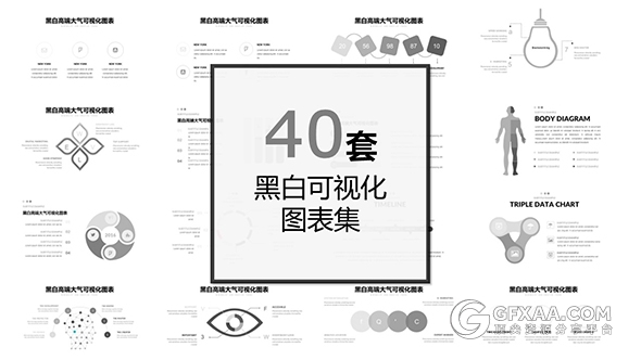 40页黑白可视化数据图表PPT模板 - 顶尖PPT