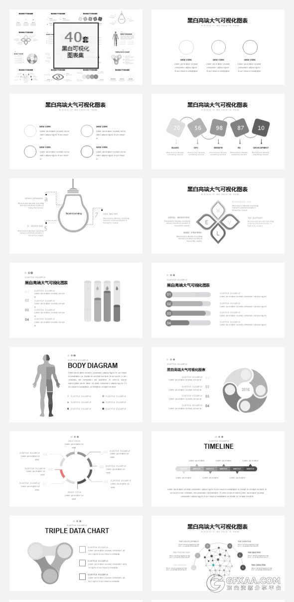40页黑白可视化数据图表PPT模板 - 顶尖PPT