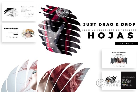 103页羽毛剪影图片文艺风格keynote模板 - 顶尖PPT