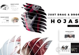 103页羽毛剪影图片文艺风格keynote模板 - 顶尖PPT