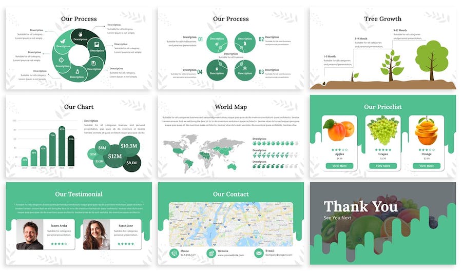 水果果实种植销售市场推广PPT模板 - 顶尖PPT