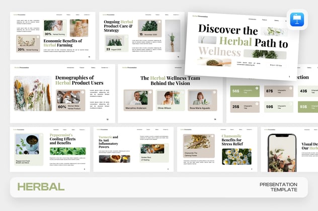 草药中医养生保健推广Keynote模板 - 顶尖PPT