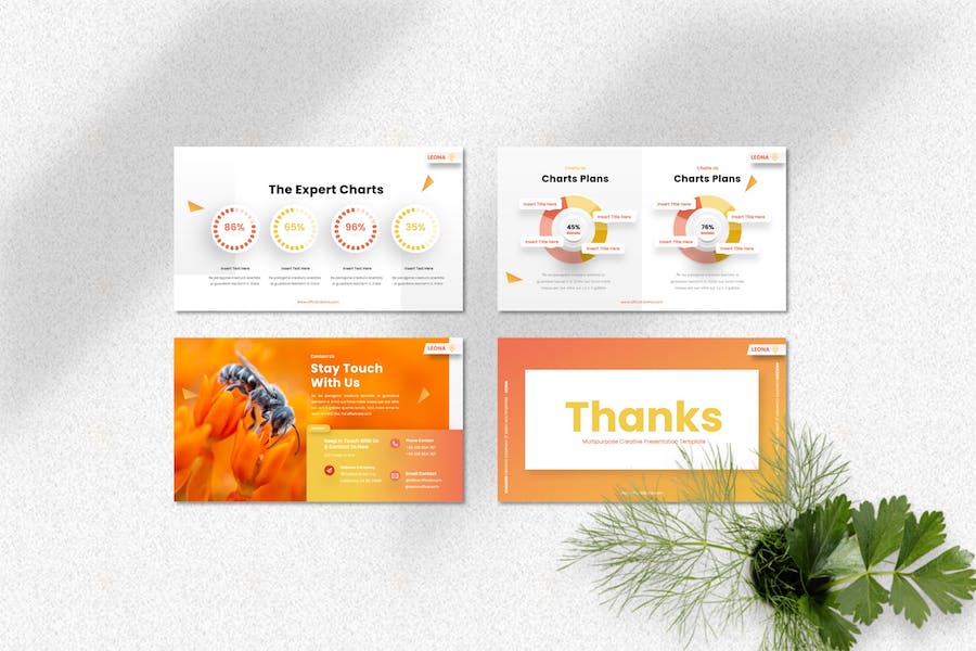 多功能创意设计商业演讲Keynote模板 - 顶尖PPT