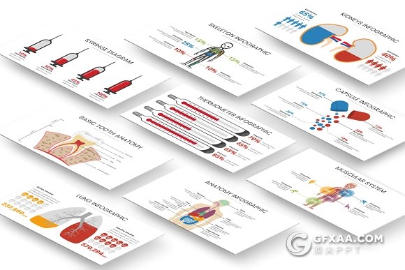 21页医用人体内部结构图形图表PPT模板 - 顶尖PPT
