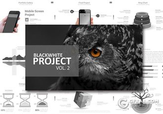 90页黑白灰商务多用途PPT模板第一版 - 顶尖PPT