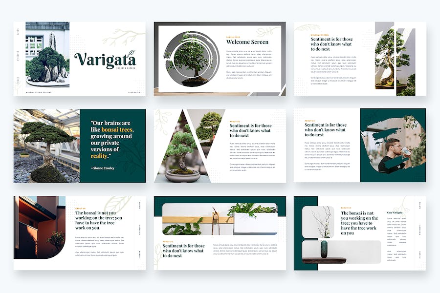 盆景展示园林介绍园艺分享keynote模板 - 顶尖PPT