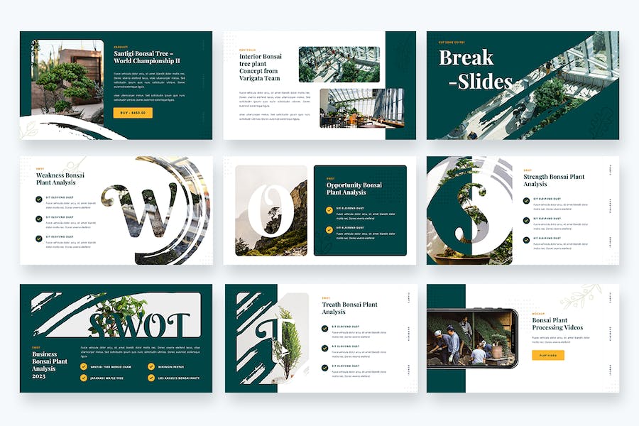 盆景展示园林介绍园艺分享keynote模板 - 顶尖PPT