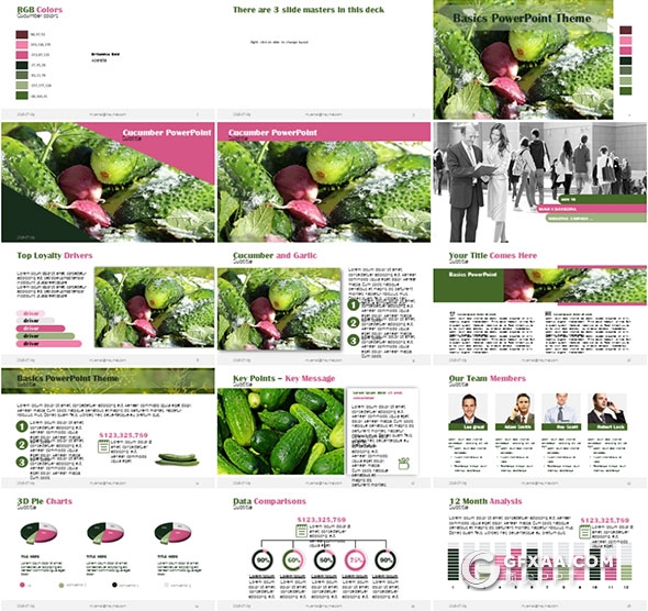 40页蔬菜果蔬介绍PPT模板 - 顶尖PPT