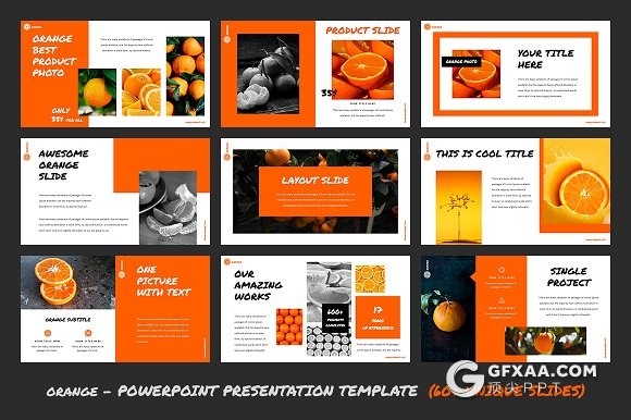 60页橙子水果介绍PPT模板 - 顶尖PPT