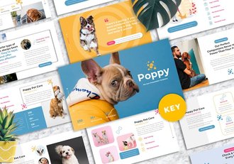 宠物护理服务项目展示方案Keynote模板 - 顶尖PPT