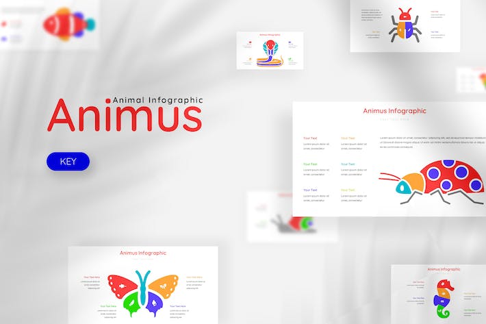 动画信息图形可视化展示Keynote模板 - 顶尖PPT