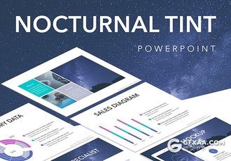 20页星空背景简约大气PPT模板 - 顶尖PPT