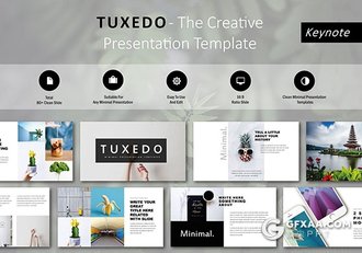 80页极简文艺风格图片展示keynote模板 - 顶尖PPT