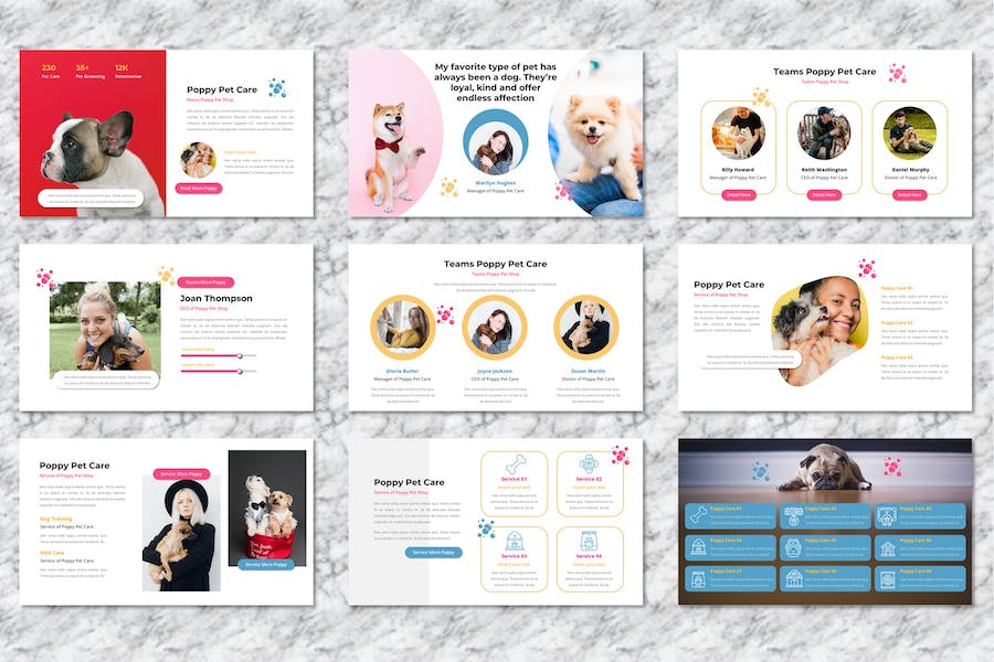 宠物护理服务项目展示方案Keynote模板 - 顶尖PPT