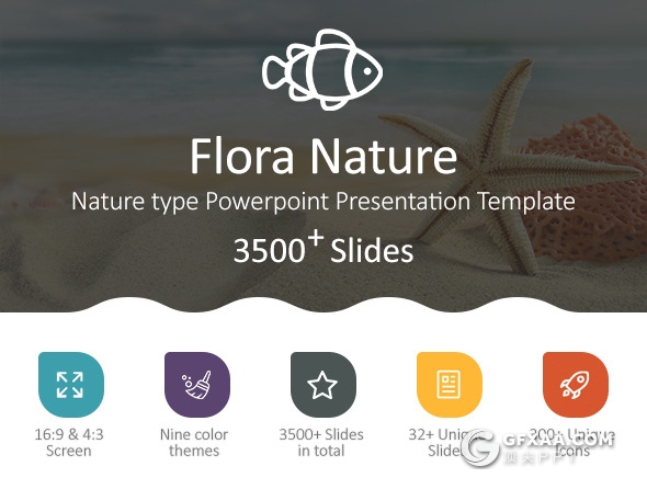 32页欧美商务风格动画PPT模板 3种配色 - 顶尖PPT