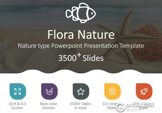 32页欧美商务风格动画PPT模板 3种配色 - 顶尖PPT