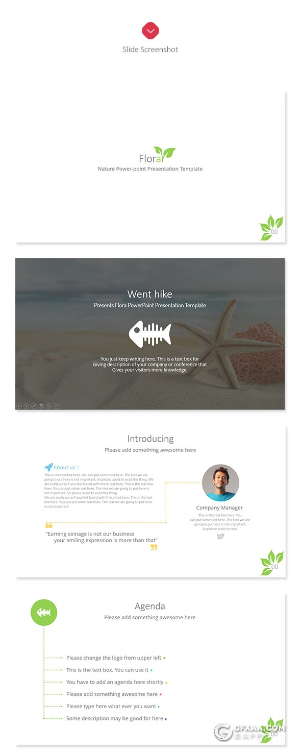 32页欧美商务风格动画PPT模板 3种配色 - 顶尖PPT