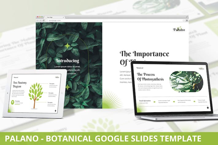 植物学教育培训课程PPT模板 - 顶尖PPT