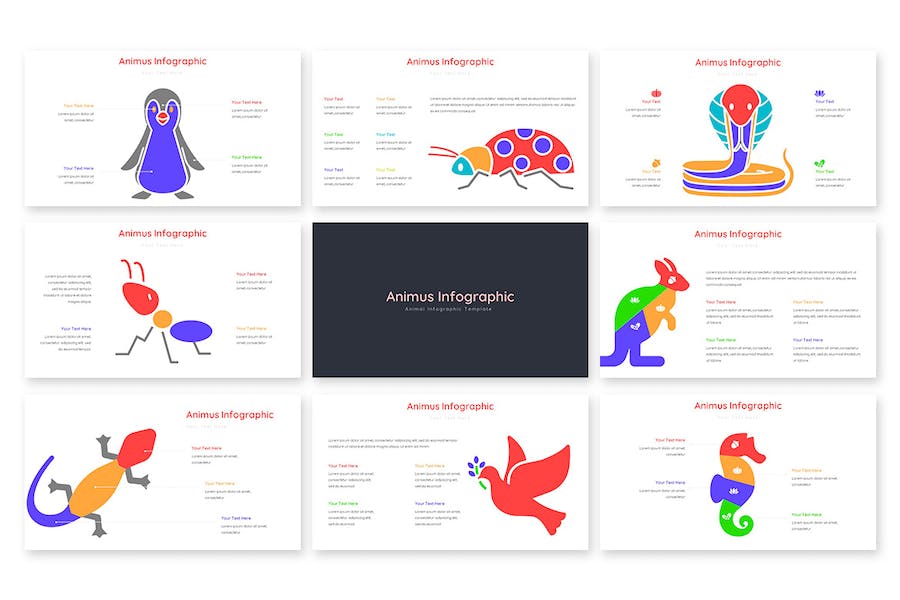 动画信息图形可视化展示Keynote模板 - 顶尖PPT