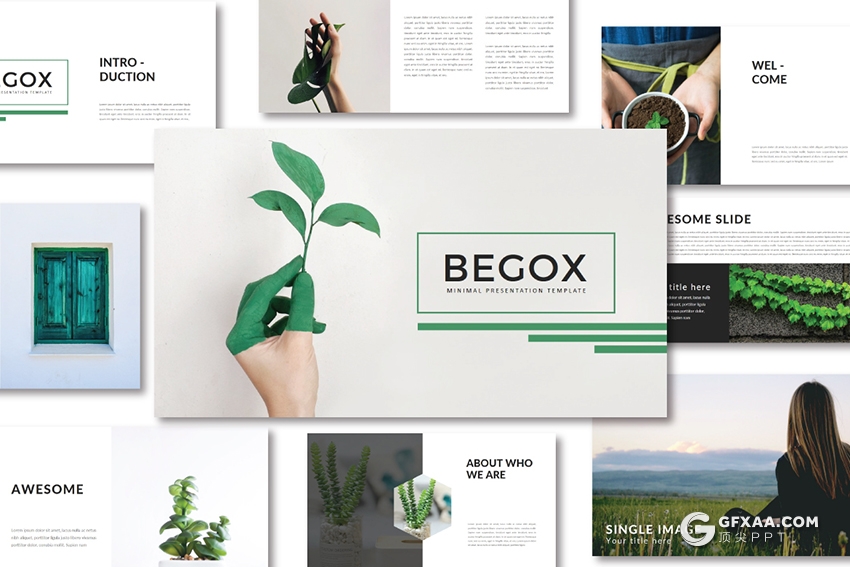 35页文艺风格绿色植物图片展示PPT模板 - 顶尖PPT