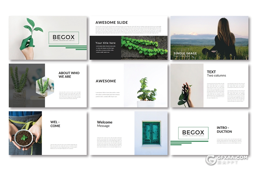 35页文艺风格绿色植物图片展示PPT模板 - 顶尖PPT