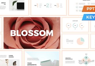 100多页极简文艺风格ppt板 - 顶尖PPT