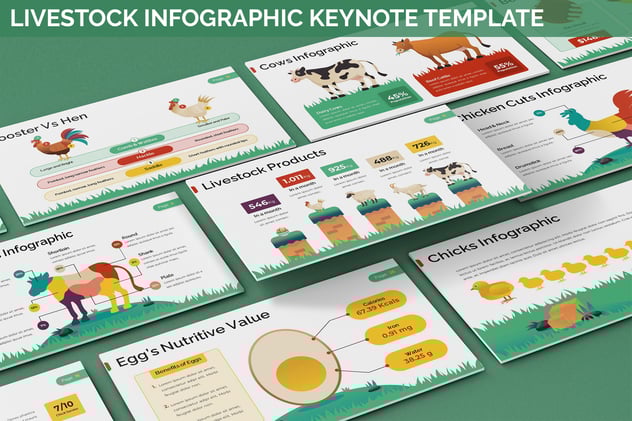 牲畜畜牧业信息插画图形Keynote模板 - 顶尖PPT