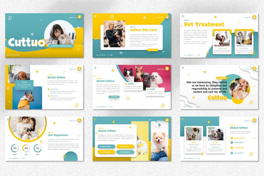 宠物动物护理PPT模板 - 顶尖PPT