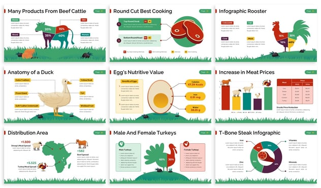 牲畜畜牧业信息插画图形Keynote模板 - 顶尖PPT